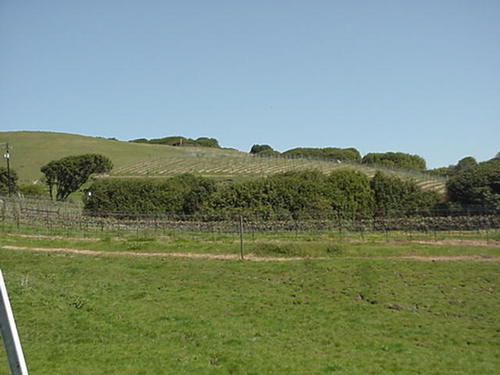 Point Reyes Vineyard Inn 캘리포니아 시티 외부 사진
