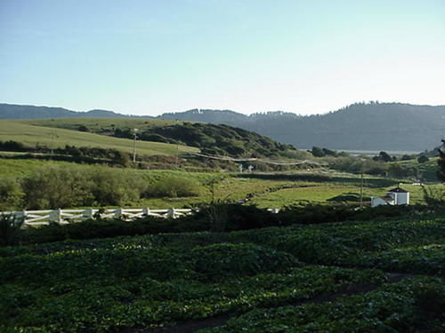 Point Reyes Vineyard Inn 캘리포니아 시티 외부 사진