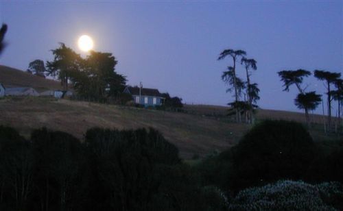 Point Reyes Vineyard Inn 캘리포니아 시티 외부 사진