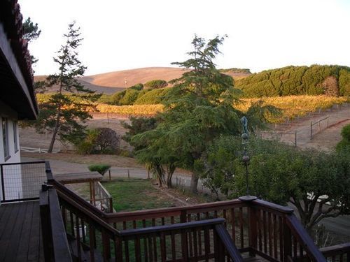 Point Reyes Vineyard Inn 캘리포니아 시티 외부 사진