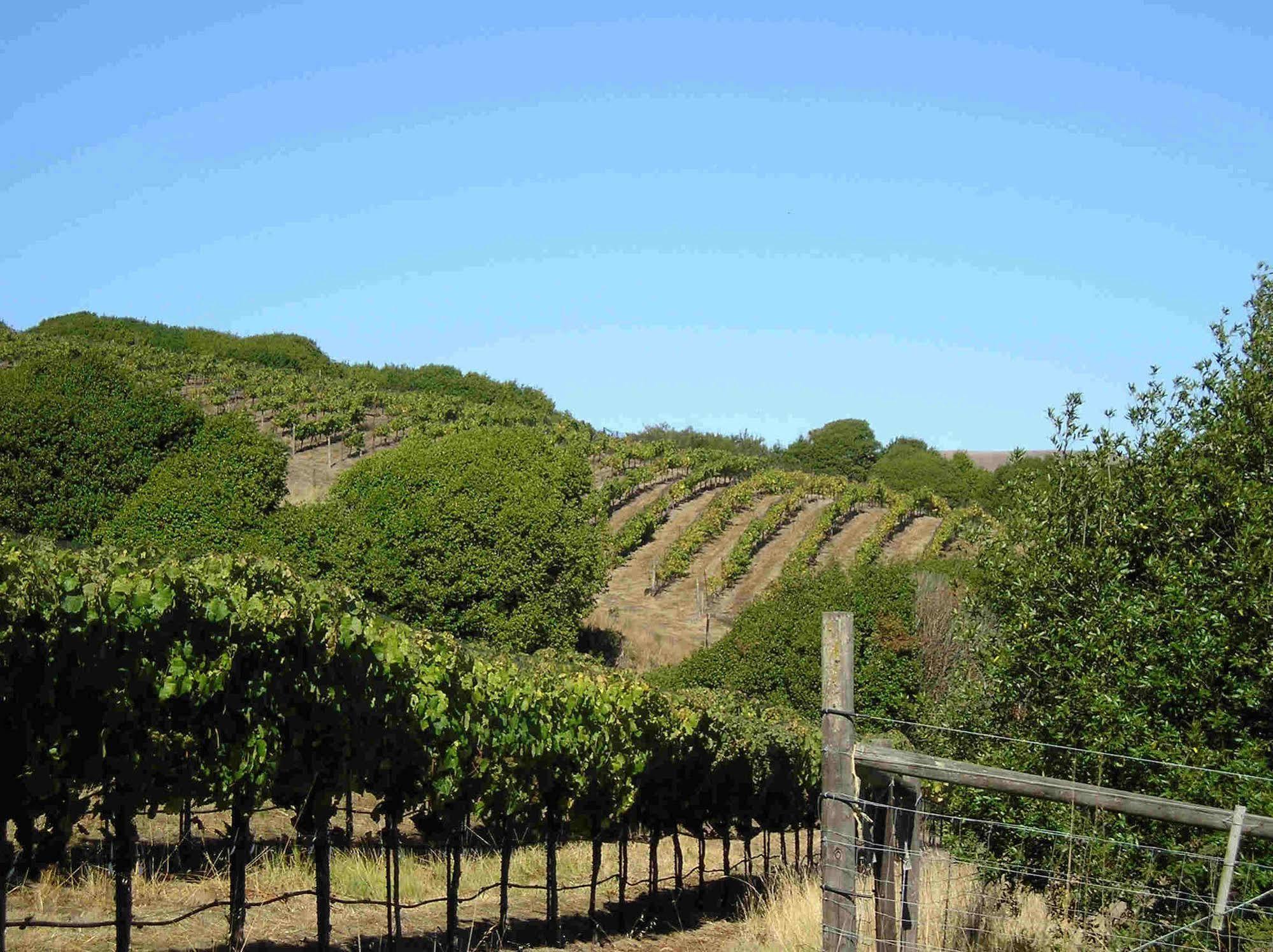 Point Reyes Vineyard Inn 캘리포니아 시티 외부 사진